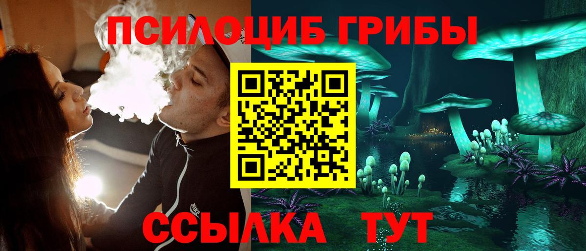 Псилоцибиновые грибы Psilocybe  Псилоцибиновые грибы Psilocybine cubensis  Вход с VPN  Людиново 
